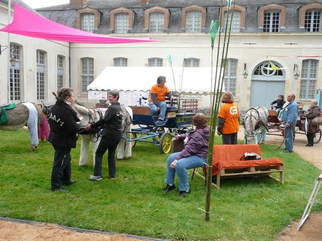 rodho 2013 (101).jpg